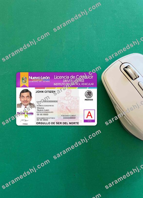 Mexico Nuevo Leon driving license photolook FRONT